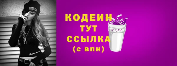 apvp Богданович