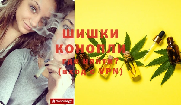 тгк Балахна