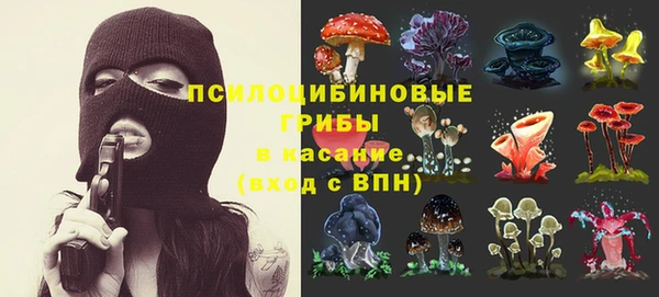 мяу мяу мука Баксан