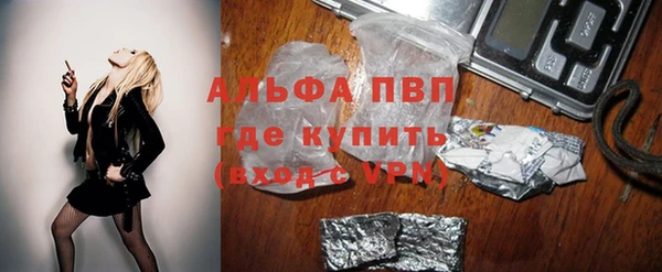 мяу мяу мука Баксан