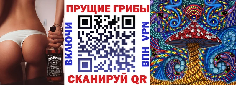 Купить закладки  Славянск-на-Кубани  Псилоцибиновые грибы ЛСД 